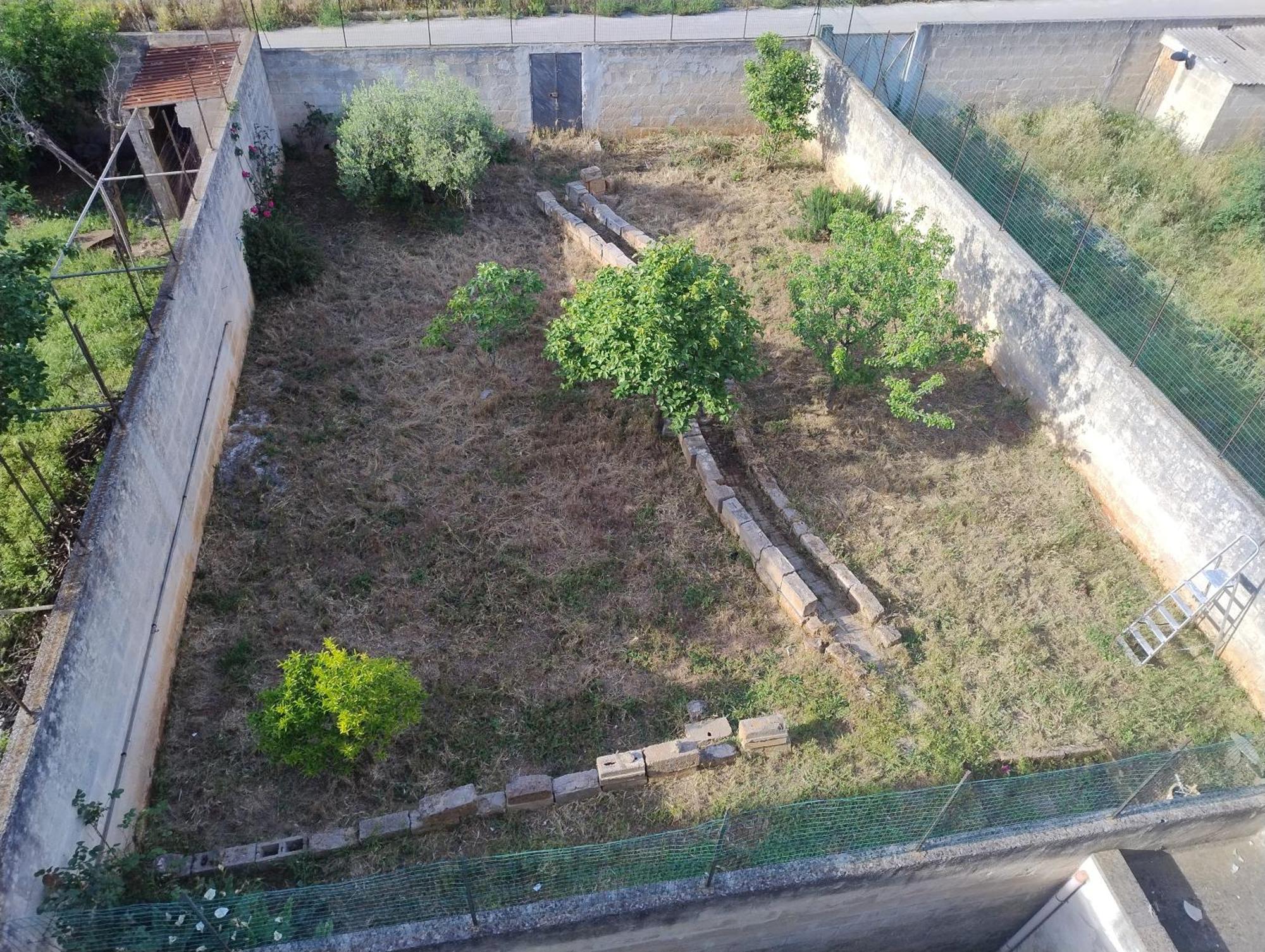 Favolosa Casa Con Terrazza, Idromassaggio, Cortile E Garage Auto Carovigno Buitenkant foto